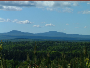 The Appalachian Region Scenery