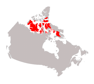 The Arctic Lowlands