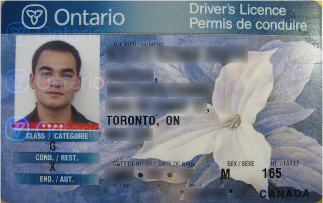 Ontario Driver's License